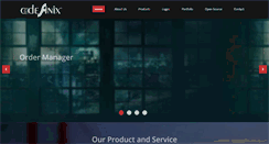 Desktop Screenshot of codefinix.com